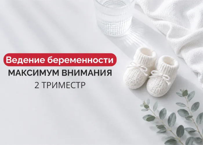 Ведение беременности «Максимум внимания» 2 триместр